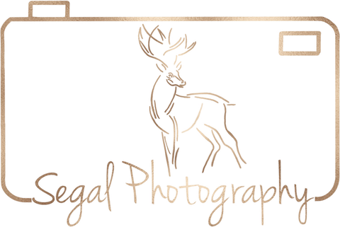 לוגו Segal Photography – אייל סגל